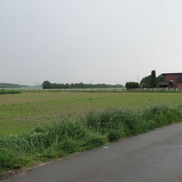 Blick auf einen Feldweg.