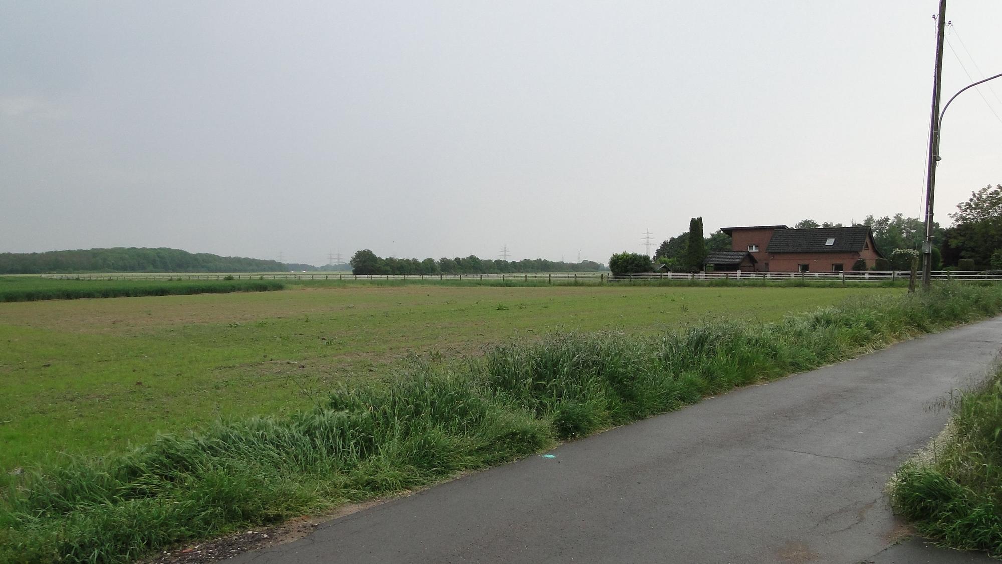 Blick auf einen Feldweg.