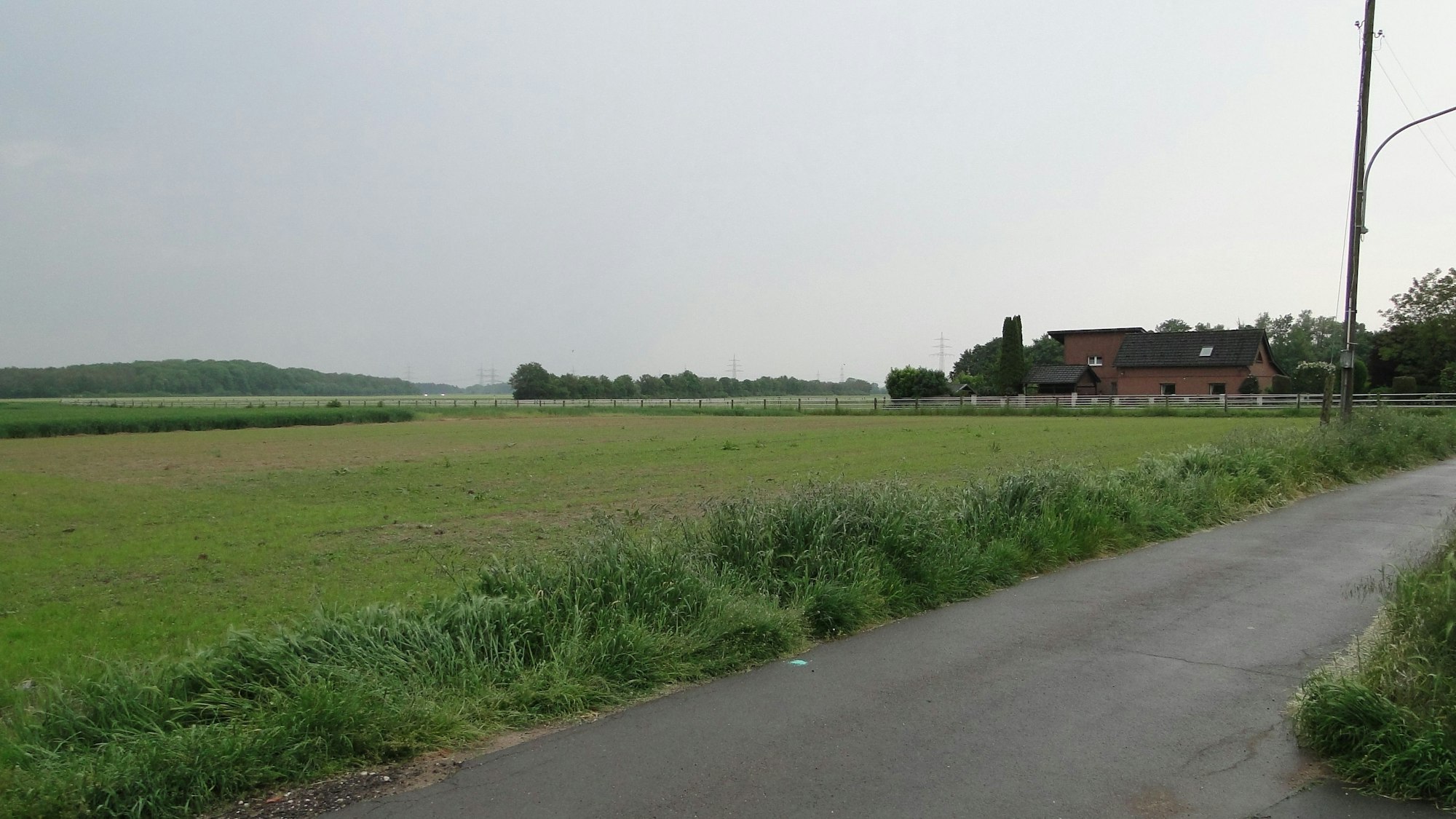 Blick auf einen Feldweg.