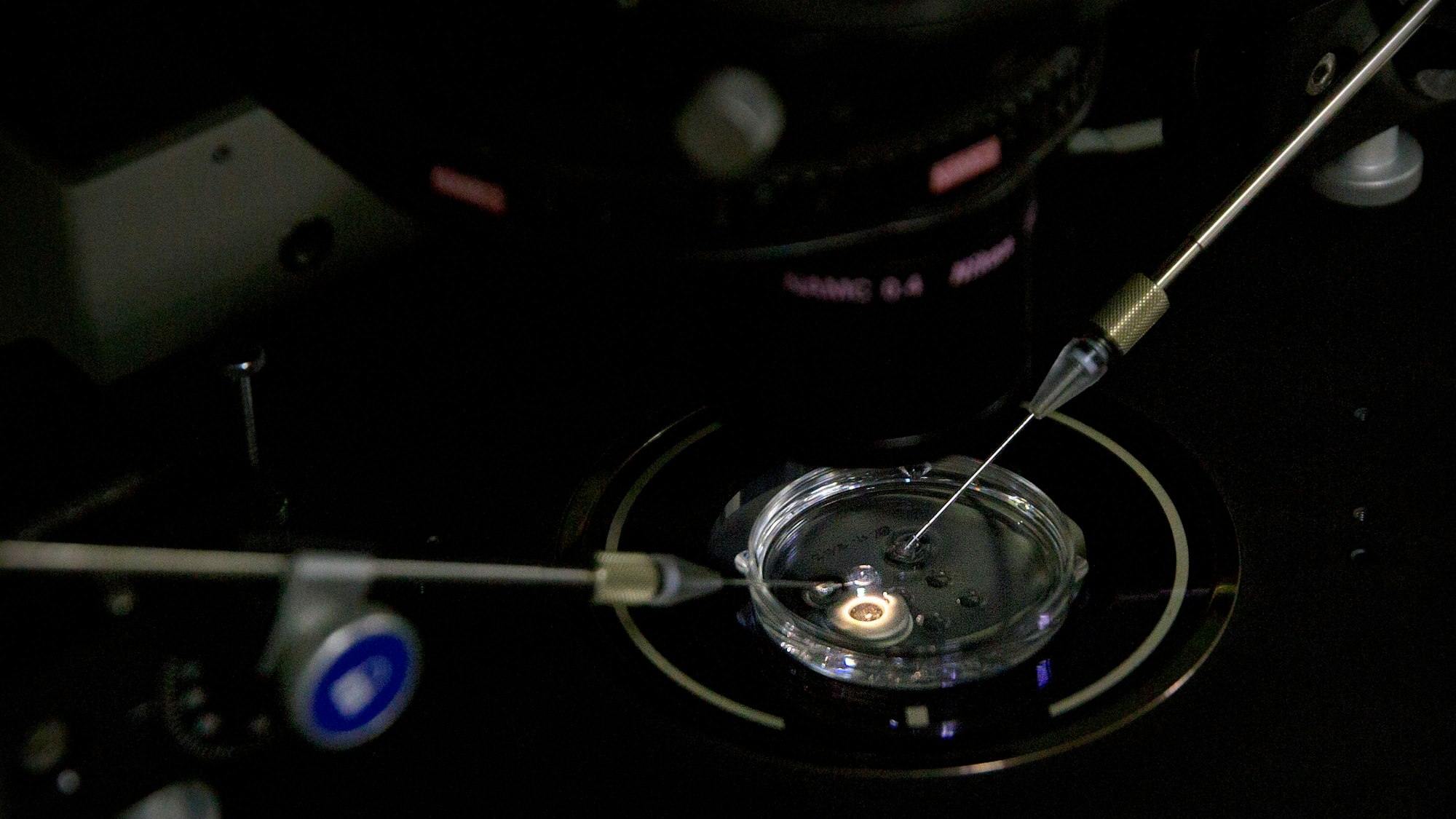 Unter einem Mikroskop liegt eine Schale mit einer Flüssigkeit, zu der mit Spritzen weitere Substanzen hinzugegeben werden