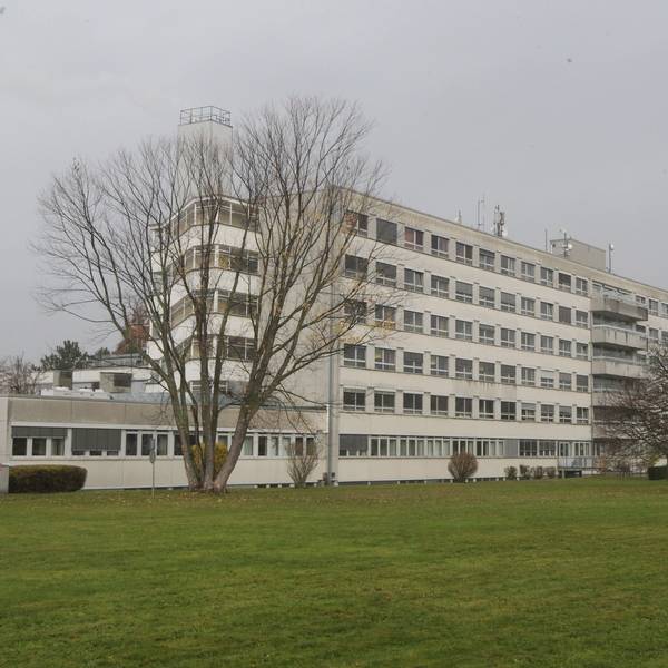 Eine Rasenfläche, im Hintergrund ein mehrgeschossiges Krankenhausgebäude.