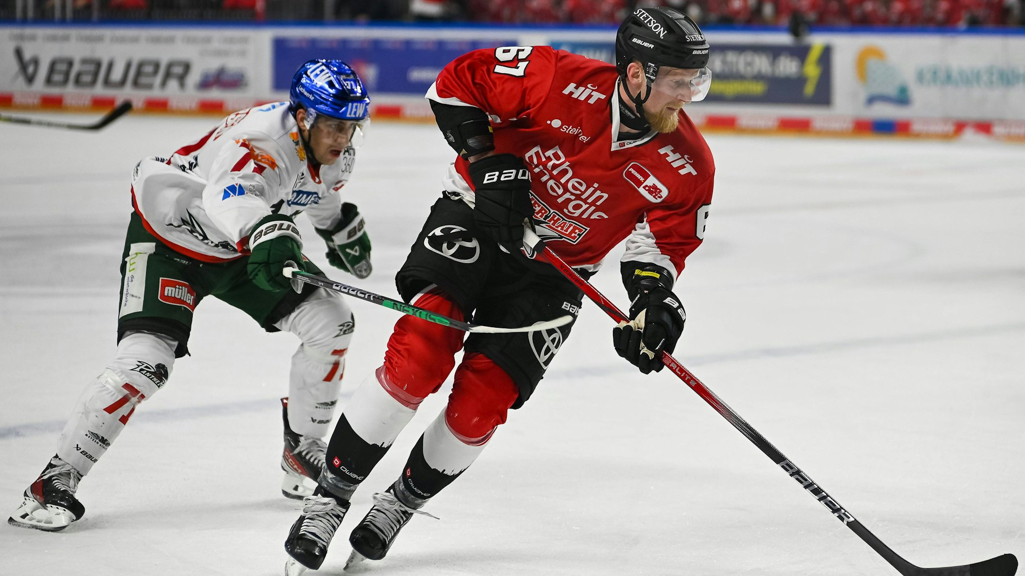 Niklas Andersen Augsburger Panther, 71 versucht Stanislav Dietz Koelner Haie, 67 mit dem Schlaeger zu halten. Koelner Haie vs. Augsburger Panther, Eishockey, Penny DEL, 20. Spieltag, Saison 2023/2024, 19.11.2023 Koelner Haie vs. Augsburger Panther, Eishockey, Penny DEL, 20. Spieltag, Saison 2023/2024, 19.11.2023 Koeln *** Niklas Andersen Augsburger Panther, 71 tries to hold Stanislav Dietz Koelner Haie, 67 with the stick Koelner Haie vs Augsburger Panther, Ice Hockey, Penny DEL, 20 Matchday, Season 2023 2024, 19 11 2023 Koelner Haie vs Augsburger Panther, Ice Hockey, Penny DEL, 20 Matchday, Season 2023 2024, 19 11 2023 Koeln Copyright: xEibner-Pressefoto/ThomasxHaeslerx EP_THR