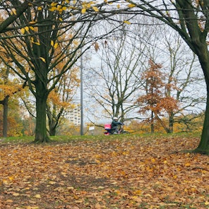 Im Vorgebirgspark soll eine mobile Toilette aufgestellt werden im esten Quartal 2024.