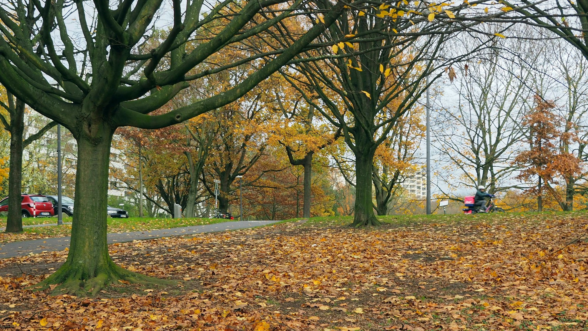 Im Vorgebirgspark soll eine mobile Toilette aufgestellt werden im esten Quartal 2024.