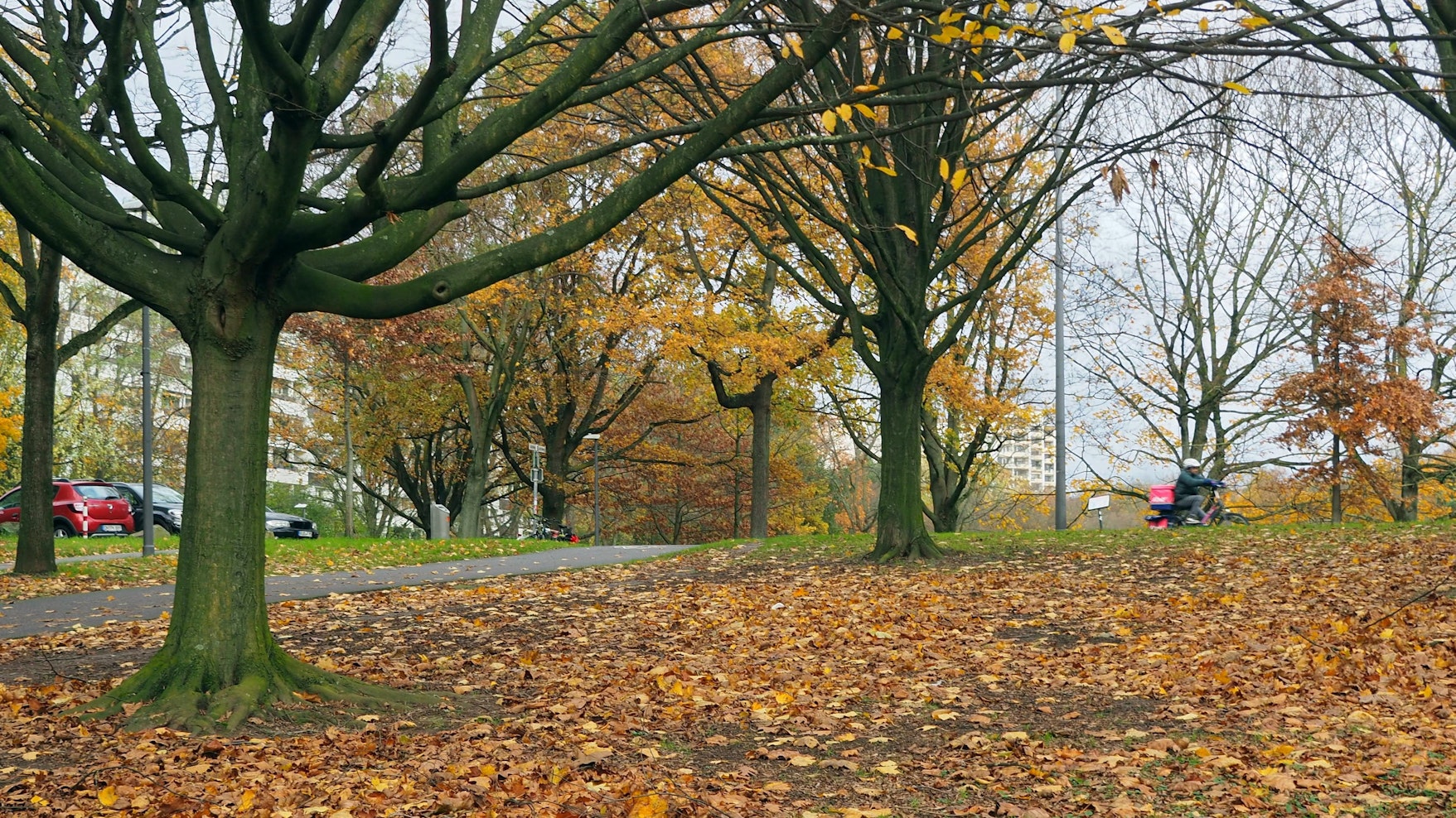 Im Vorgebirgspark soll eine mobile Toilette aufgestellt werden im esten Quartal 2024.
