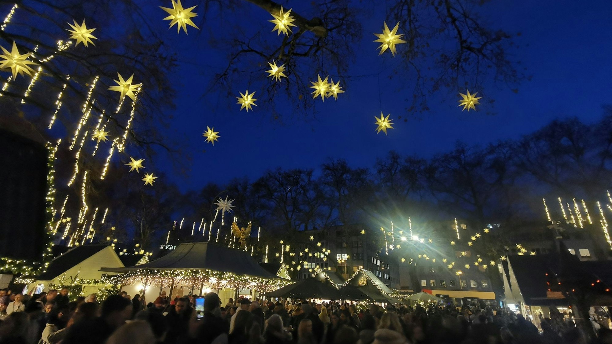 Sternenlichter hängen an den Zweigen der Bäume auf dem Neumarkt.
