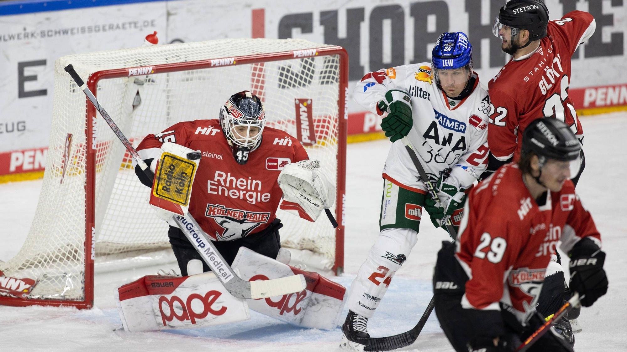 PENNY DEL 1. Koelner Haie - Augsburger Panther Koeln, 19.11.2023 Tobias Ancicka Koelner Haie, 45 T.J. Trevelyan Augsburger Panther, 24 Maximilian Gloetzl Koelner Haie,
