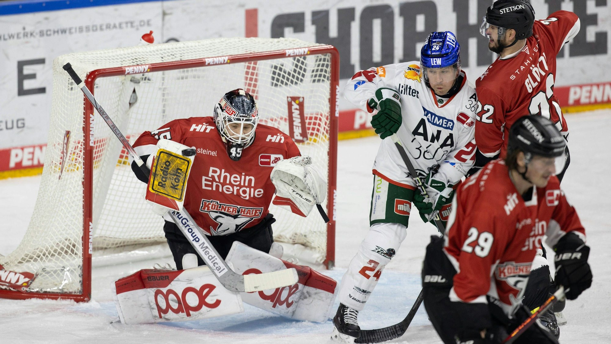 PENNY DEL 1. Koelner Haie - Augsburger Panther Koeln, 19.11.2023 Tobias Ancicka Koelner Haie, 45 T.J. Trevelyan Augsburger Panther, 24 Maximilian Gloetzl Koelner Haie,
