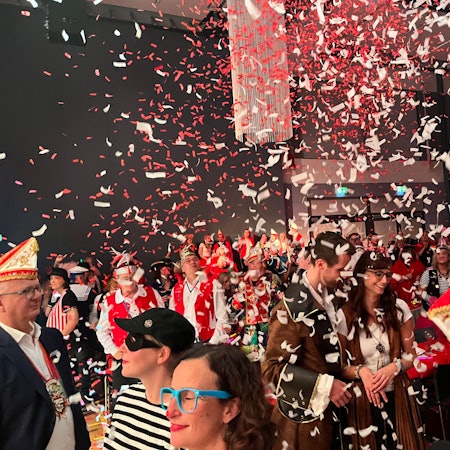 Konfetti regnete zum Finale auf die Jecken in der Mehrzweckhalle Meiers Heide.