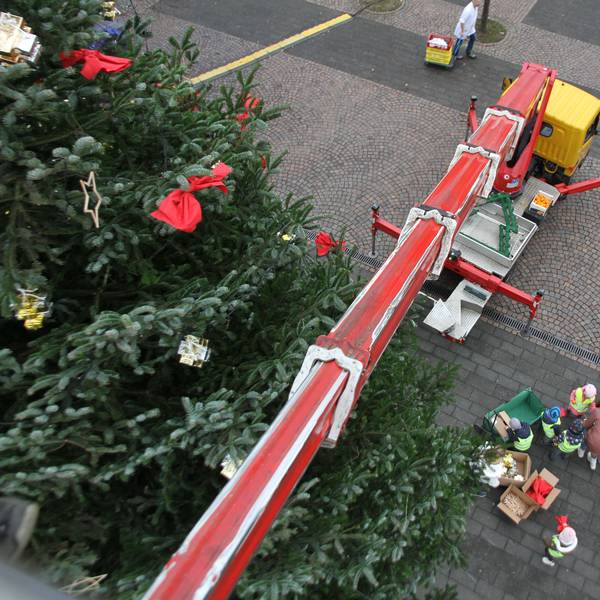 Blick von einer Hubbühne auf einen Weihnachtsbaum, den Markt und eine Gruppe von Kindern
