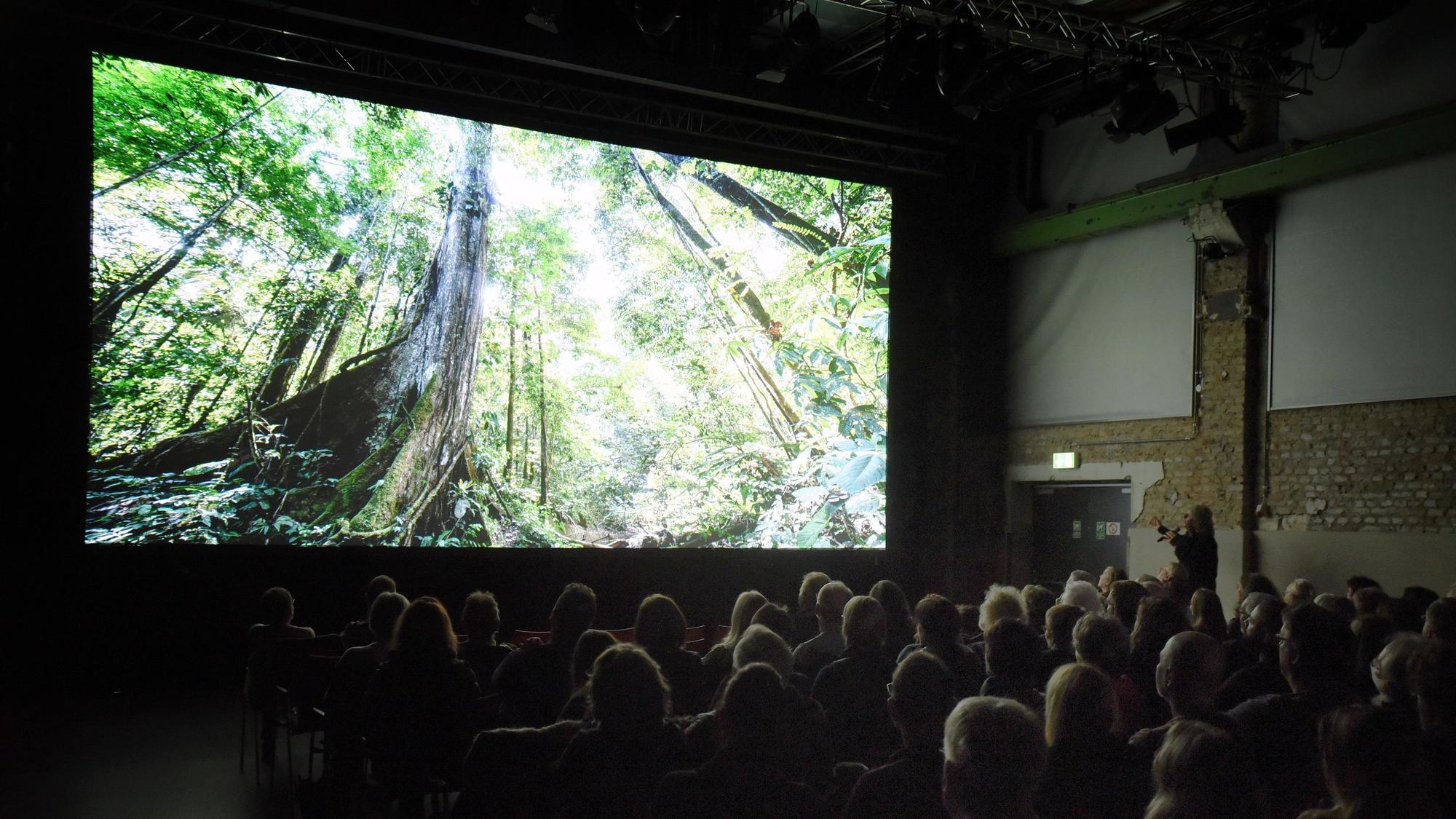 Michael Martin steht vor einer Leinwand, auf die ein Bild von einem Baum projiziert ist, im Vordergrund sitzen Menschen und schauen zu.
