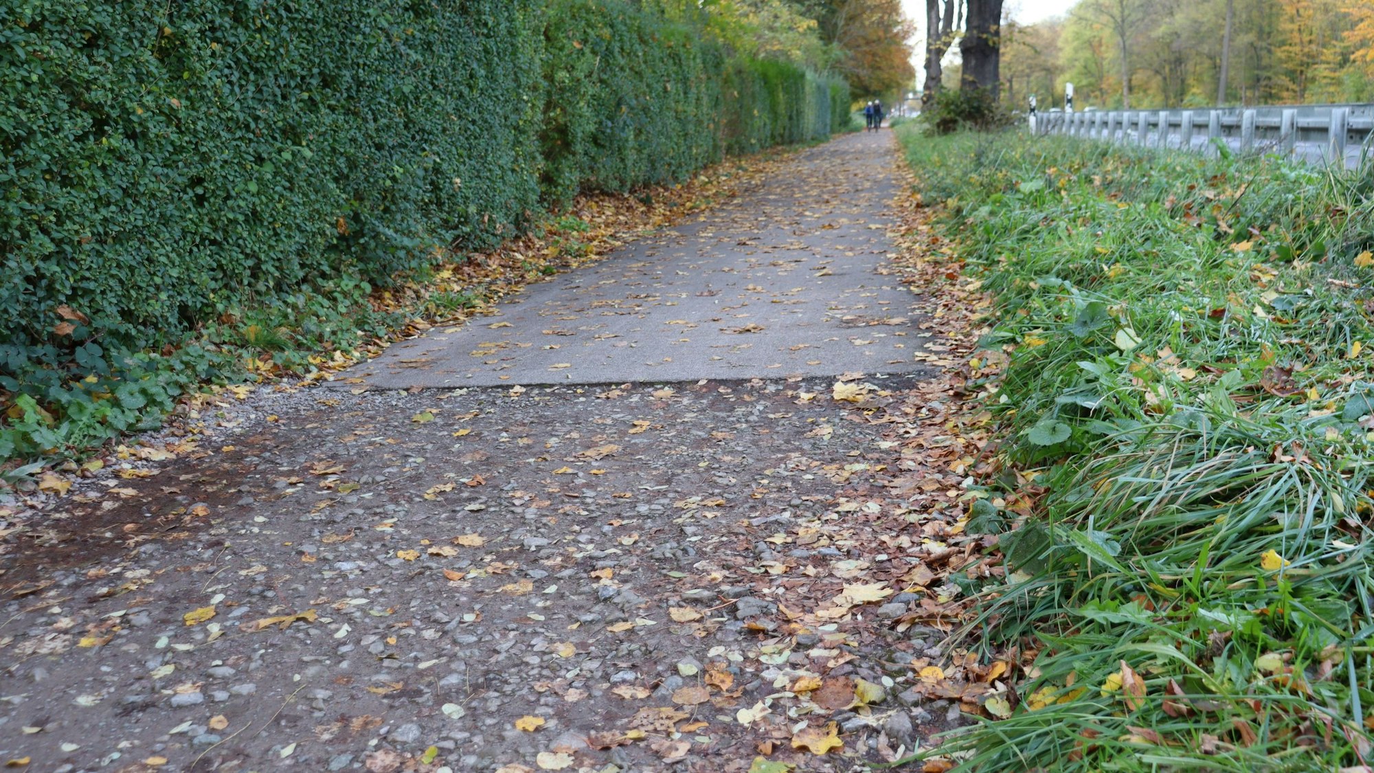 Nahaufnahme eines Radwegs, bei dem die Asphaltdecke auf einmal endet.