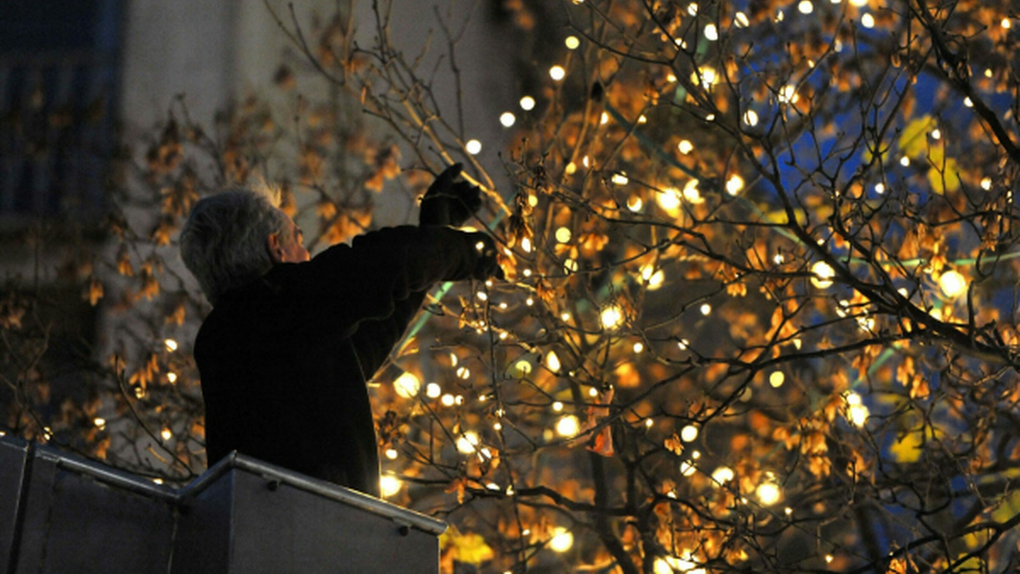 Es weihnachtet in den Veedeln: In vielen Stadtteilen leuchtet die Winterbeleuchtung wieder.