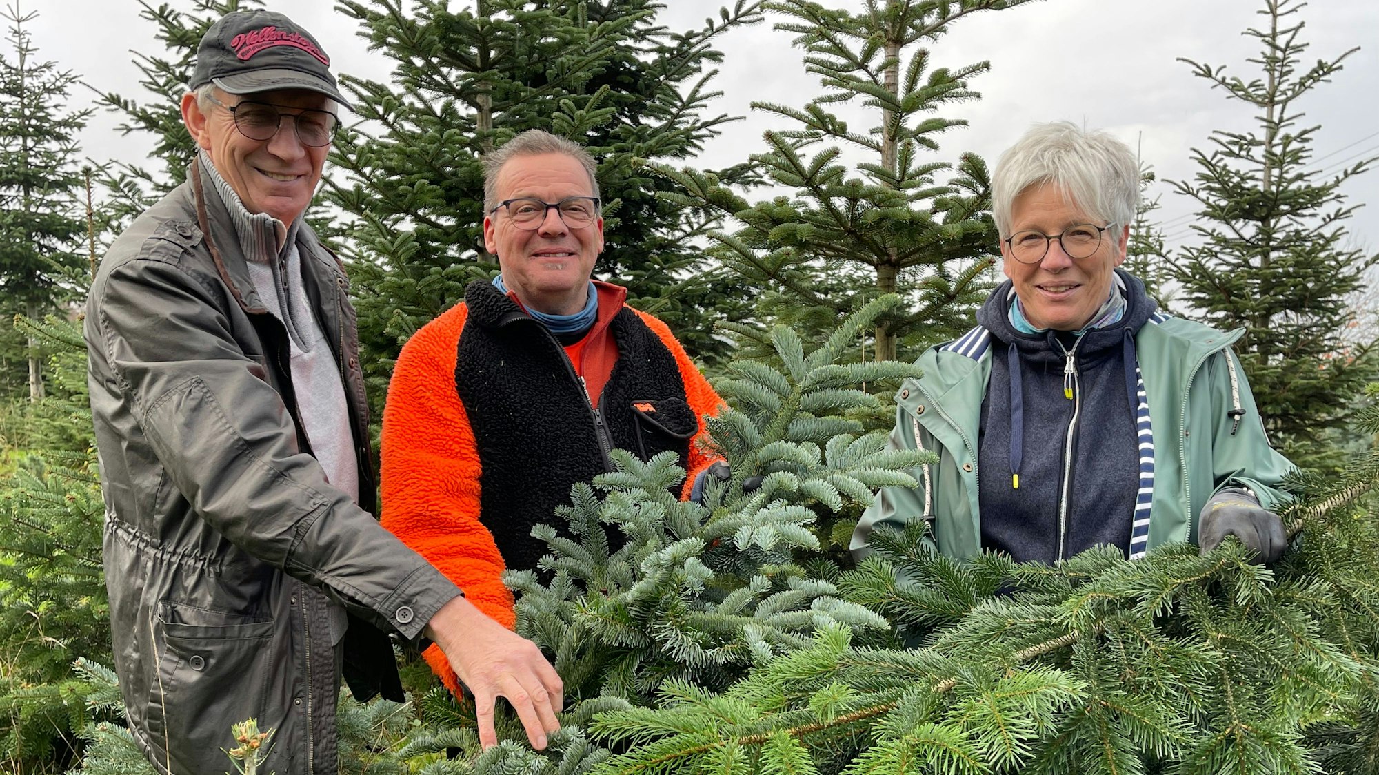 Zwei Männer und eine Frau stehen in einer Tannenschonung und halten Zweige in den Händen.