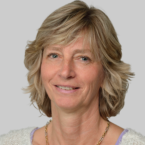 Visualisierung Pläne Gesamtschule Kürten rechts: Mehrzweckhalle, auch für Großveranstaltungen gedacht