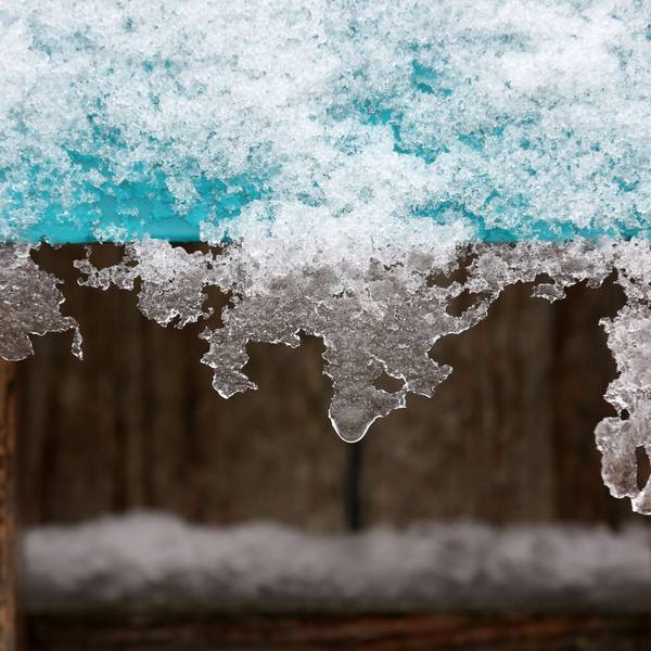 Schnee und Eis hängen an einer Informationstafel im Rheinpark in Köln. In Köln und der Region werden Ende November zweistellige Minusgrade und der erste Schnee erwartet.