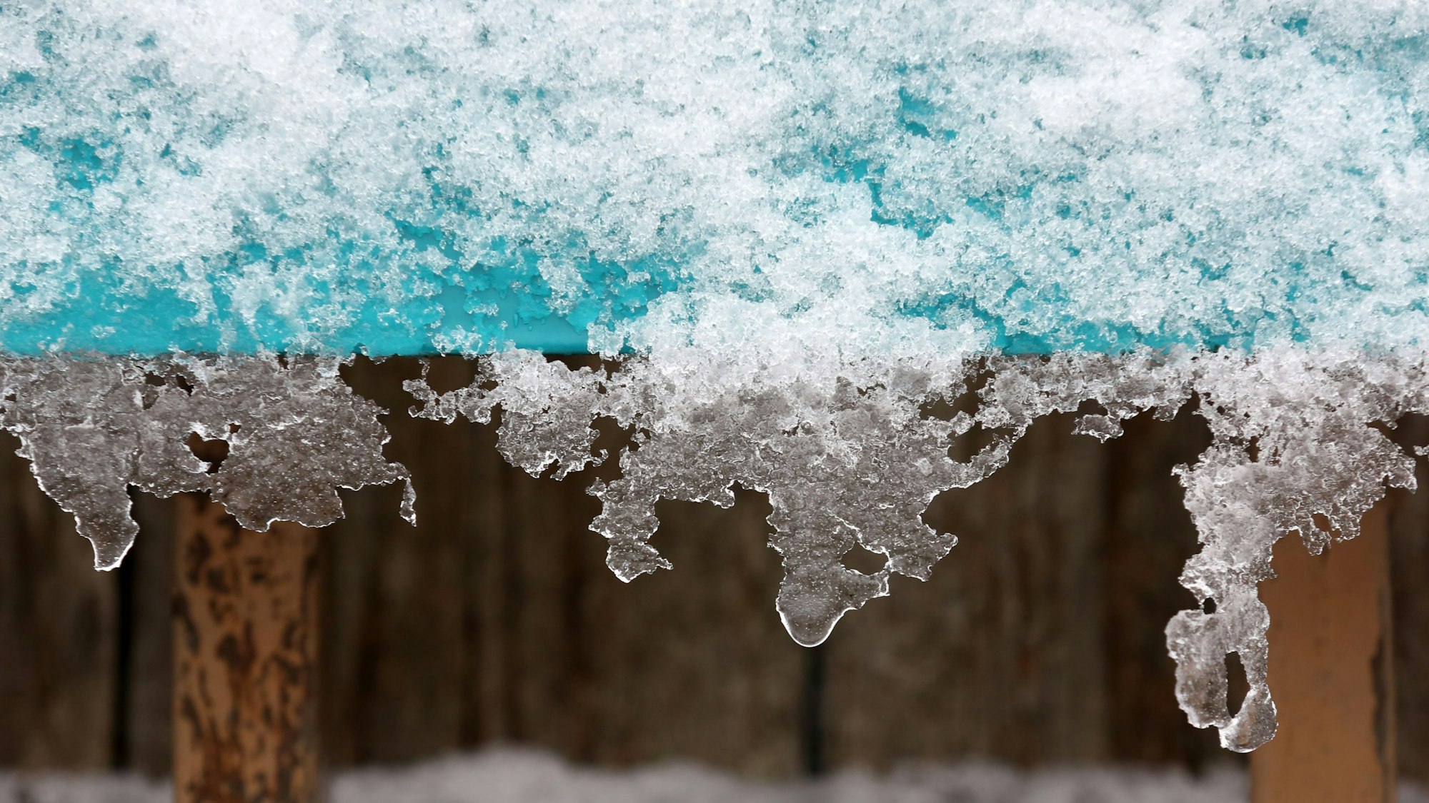 Schnee und Eis hängen an einer Informationstafel im Rheinpark in Köln. In Köln und der Region werden Ende November zweistellige Minusgrade und der erste Schnee erwartet.