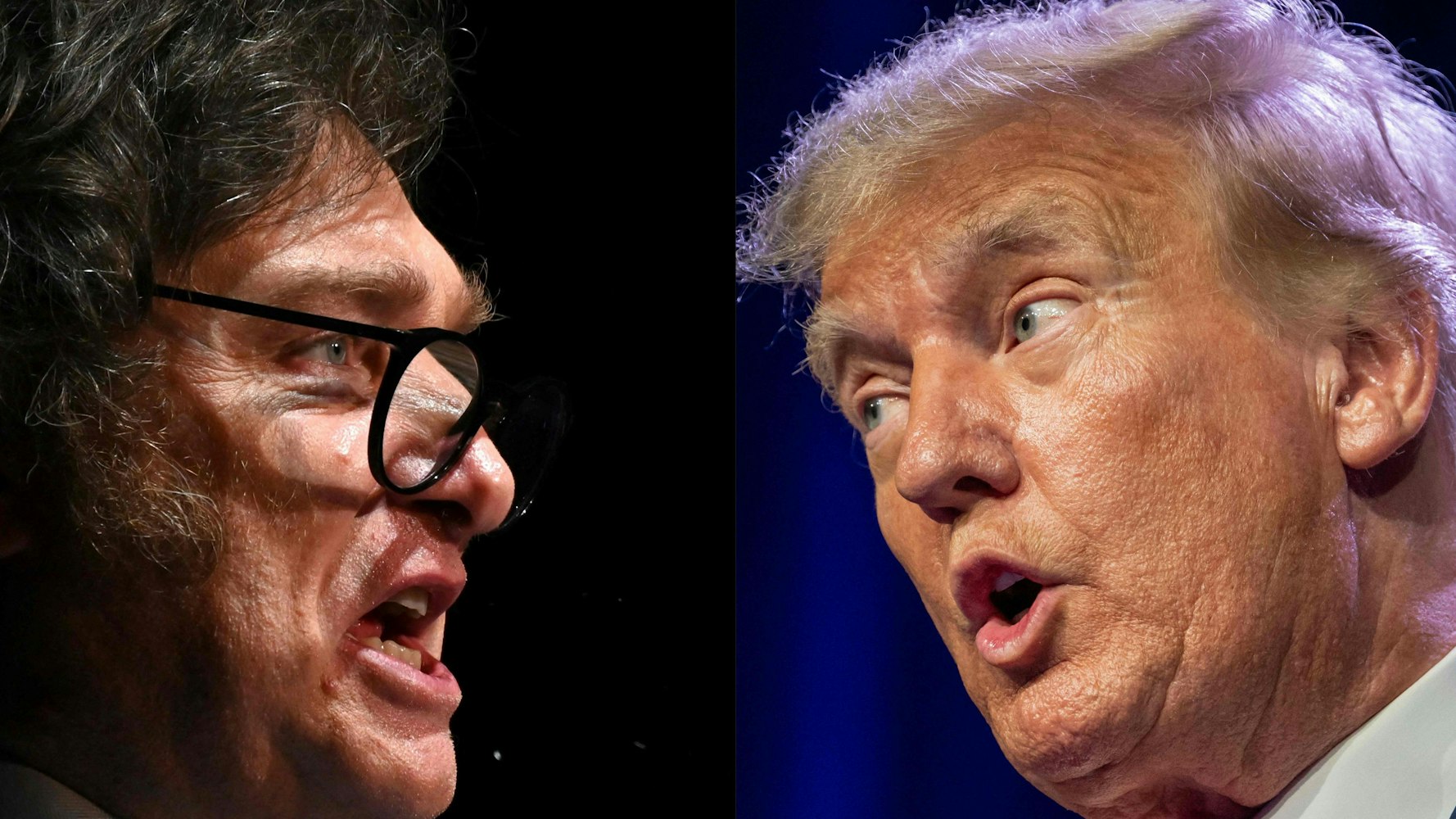 Diese Bildkombination zeigt den designierten argentinischen Staatschef Javier Milei (r), sowie den ehemaligen US-Präsident Donald Trump.