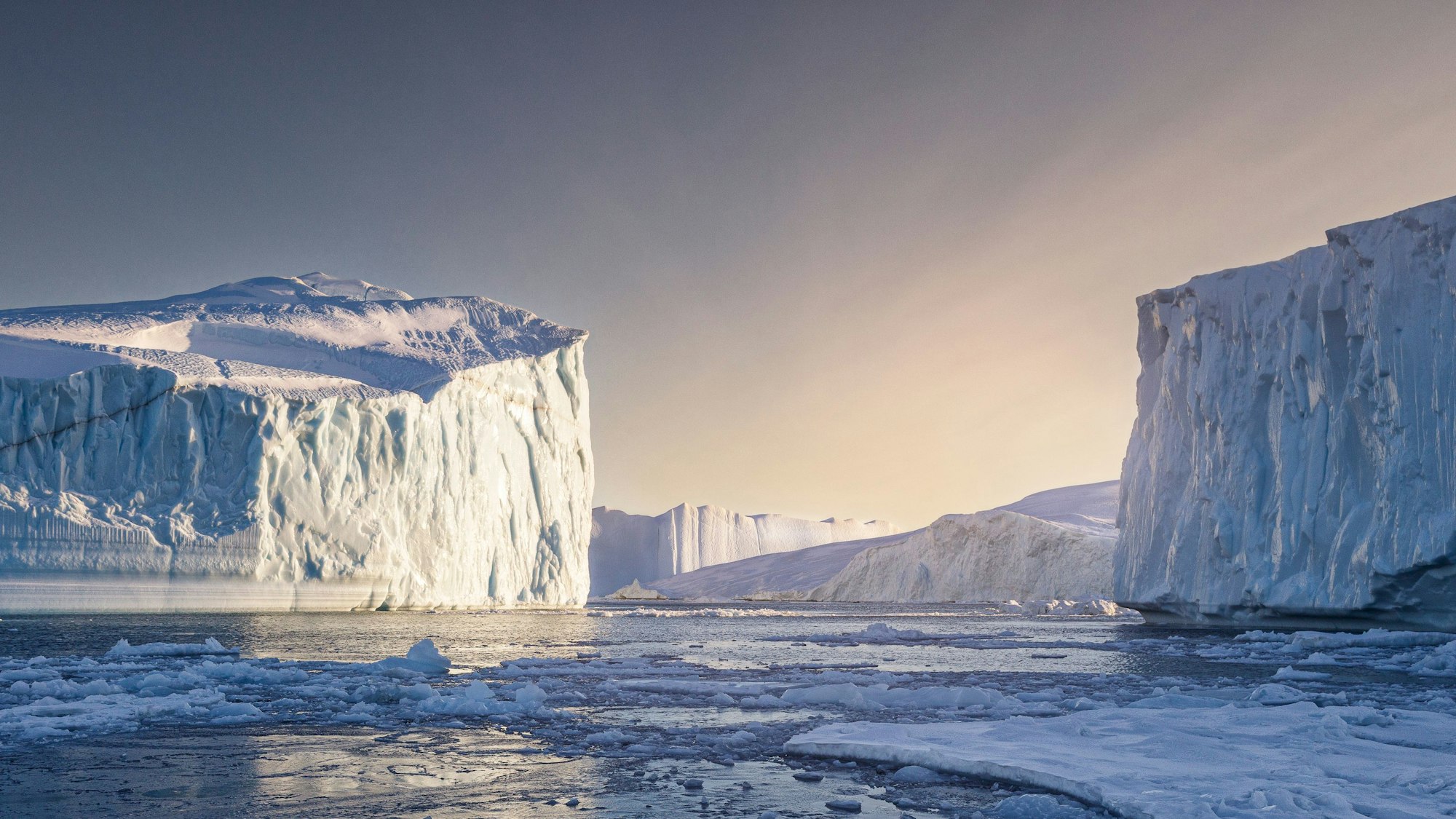 In der Antarktis ist der weltgrößte Eisberg in Bewegung geraten. A23a bewegt sich nun in Richtung offenes Meer (Symbolbild)
