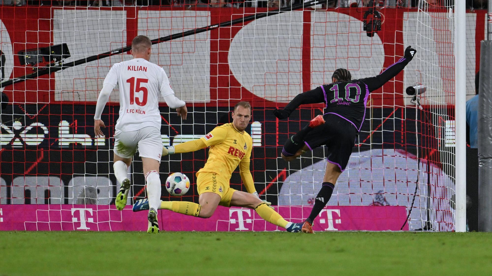 Leroy Sane Bayern Muenchen scheitert frei vor Torwart Marvin Schwäbe 1.FC Koeln 24.11.2023, Fussball 1. Bundesliga, 12. Spieltag, Saison 2023/2024 1. FC Köln - FC Bayern München Koeln Rhein-Energie-Stadion