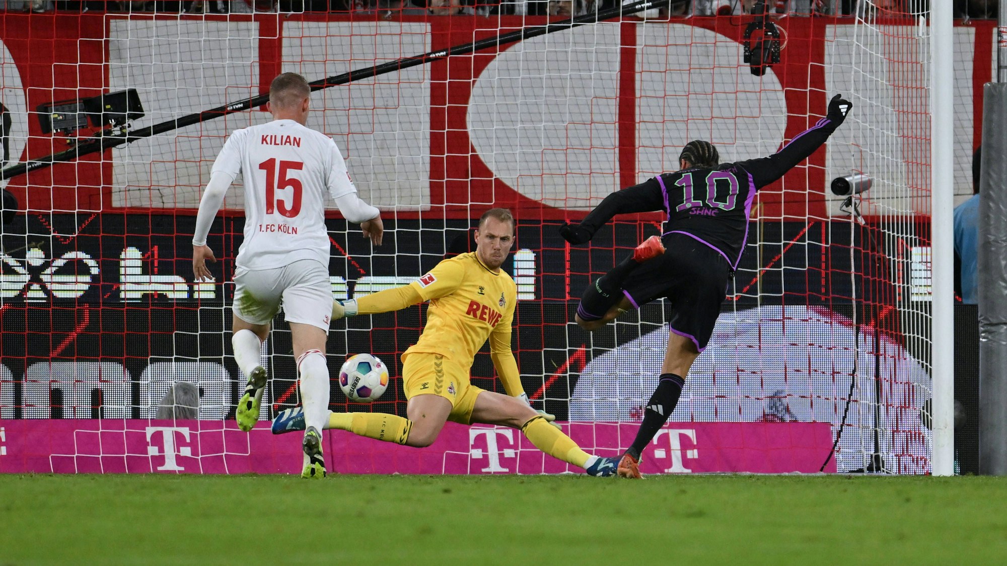 Leroy Sane Bayern Muenchen scheitert frei vor Torwart Marvin Schwäbe 1.FC Koeln 24.11.2023, Fussball 1. Bundesliga, 12. Spieltag, Saison 2023/2024 1. FC Köln - FC Bayern München Koeln Rhein-Energie-Stadion
