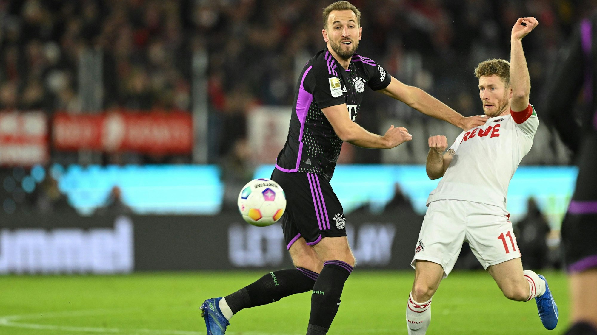 30 Minuten lang auf verlorenem Posten: Kölns Kapitän Florian Kainz (r.) im Duell mit Bayerns Torjäger Harry Kane.
