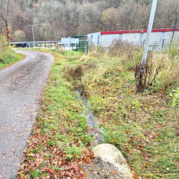 Der Frohnbach verläuft als Graben zwischen der Straße und dem Kita-Gelände.