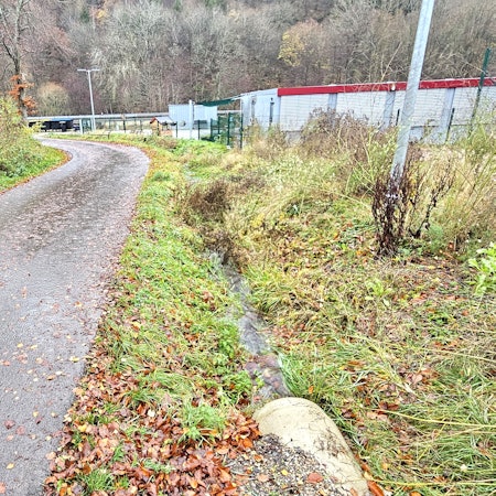 Der Frohnbach verläuft als Graben zwischen der Straße und dem Kita-Gelände.