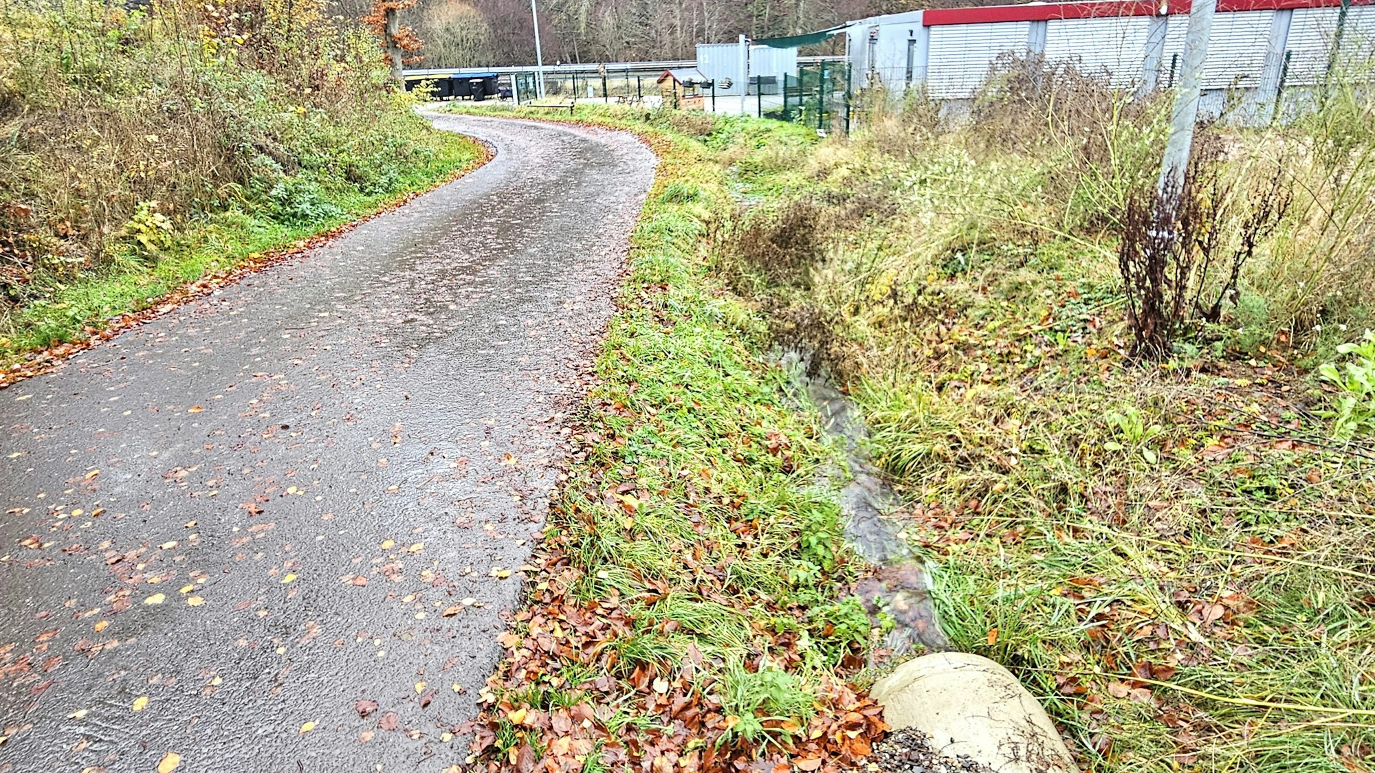 Der Frohnbach verläuft als Graben zwischen der Straße und dem Kita-Gelände.