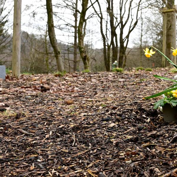 Ein Blumengesteck im Begräbniswald.