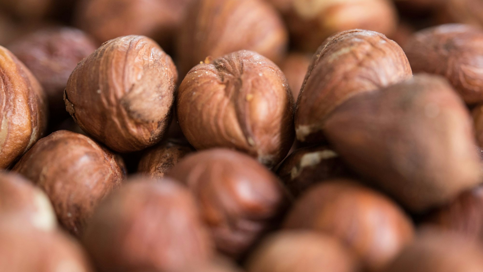 Haselnüsse in der Nahaufnahme.