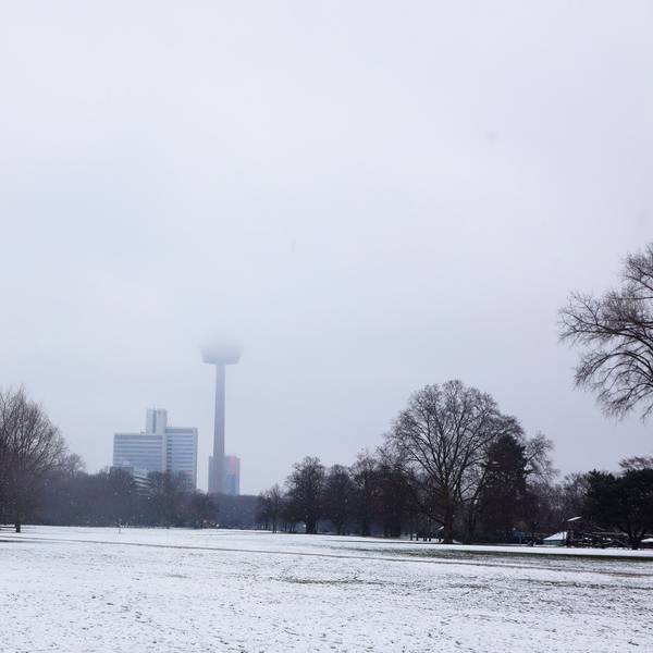 Schneefall im Kölner Grüngürtel im März 2023