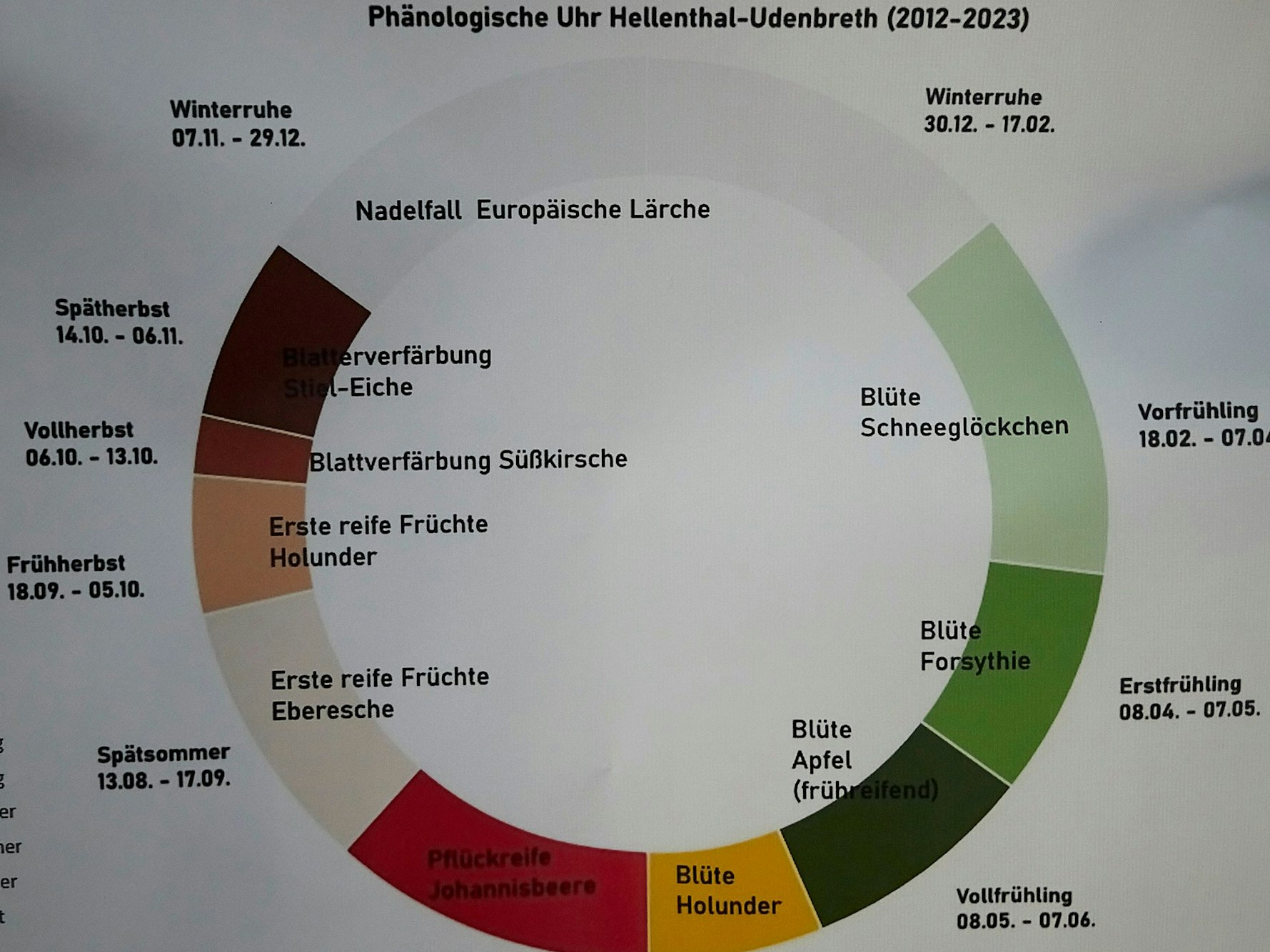 Der farbige Kreis beschreibt mit den Blütenbildungen an den Pflanzen die zehn Jahreszeiten, die Brandt am Weißen Stein ermittelt hat.