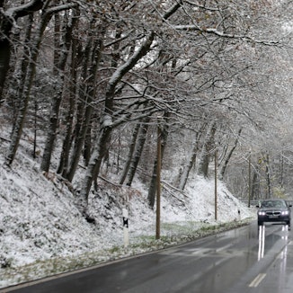 Autos fahren auf einer nassen Straße unter schneebedeckten Bäumen hindurch.