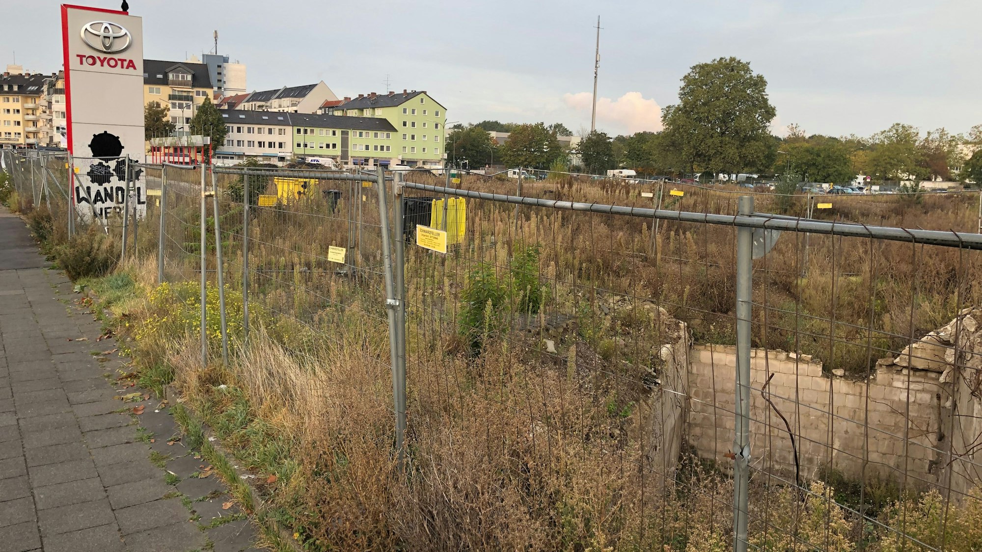 Brache an der Liebigstraße.