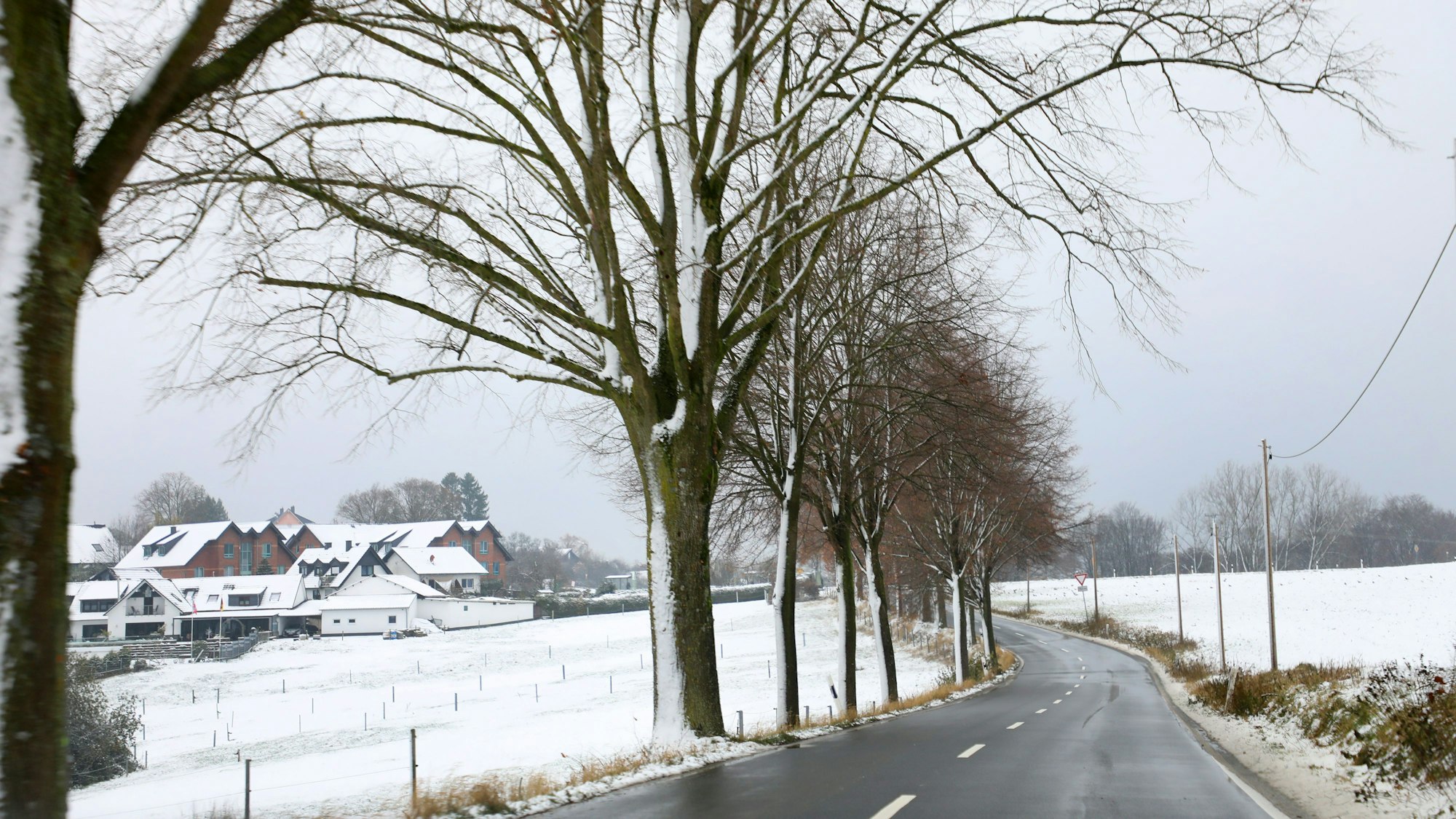 Eine Straße wird von leicht verschneiten Bäume gesäumt. Auf den Wiesen und Häusern liegt Schnee.