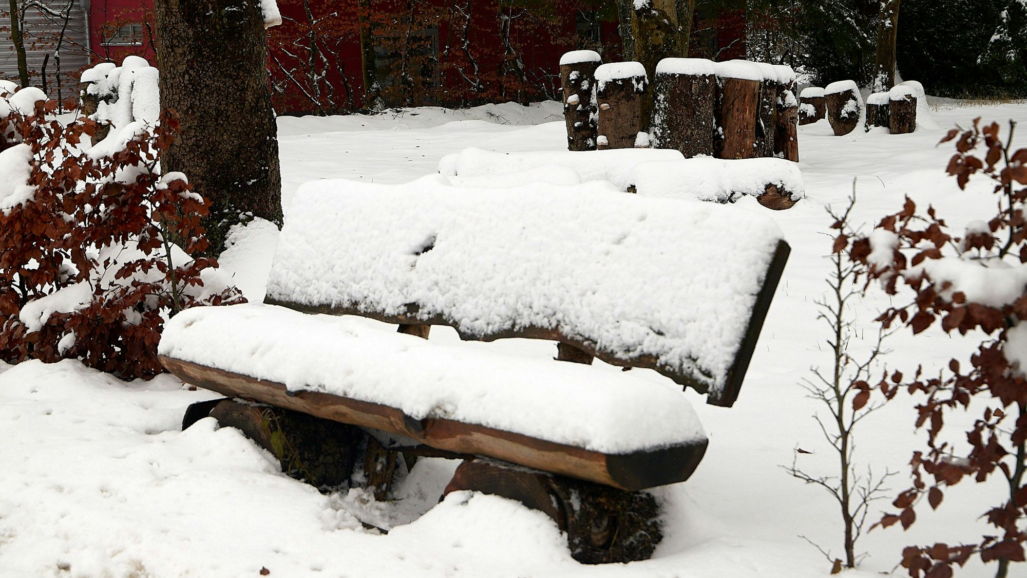 Auf einer Holzbank in Udenbreth liegen rund 15 Zentimeter Schnee.