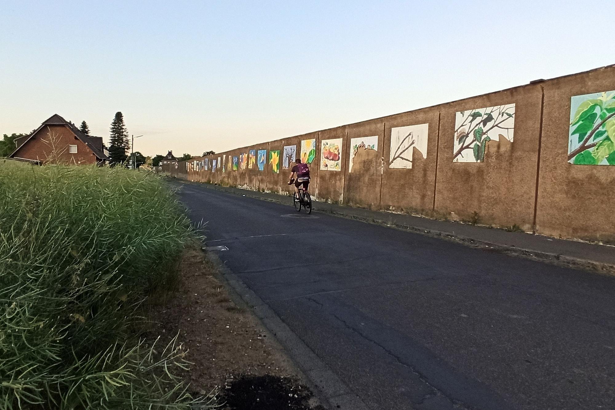 Der Investor Montana wird die marode Händelstraße sanieren. Die Betonwand zum Obstbetrieb Schmitz-Hübsch wird dann abgerissen.