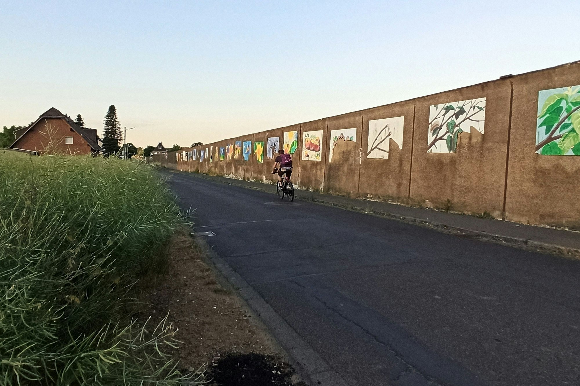 Der Investor Montana wird die marode Händelstraße sanieren. Die Betonwand zum Obstbetrieb Schmitz-Hübsch wird dann abgerissen.