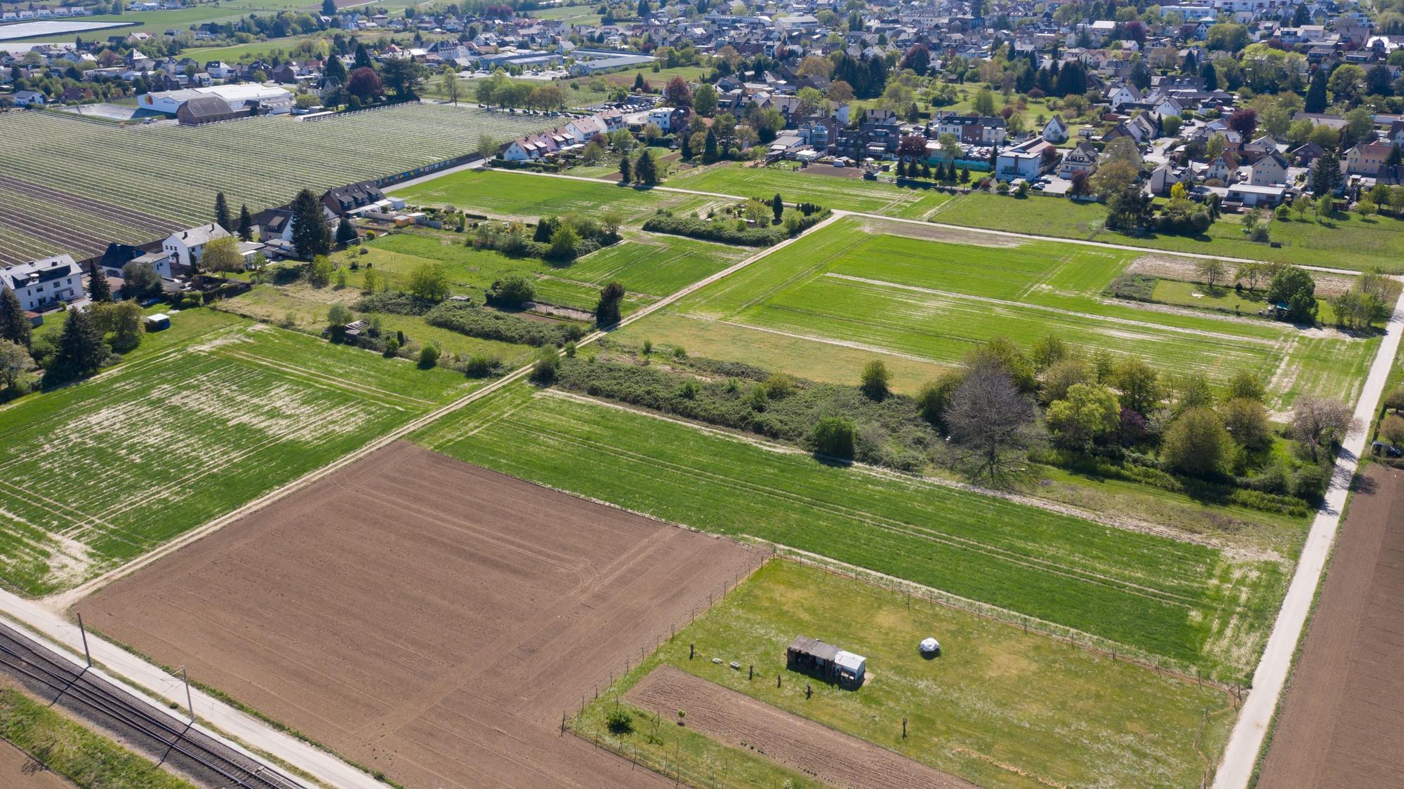Eine Drohne schaut auf das Baugebiet für die Gesamtschule.