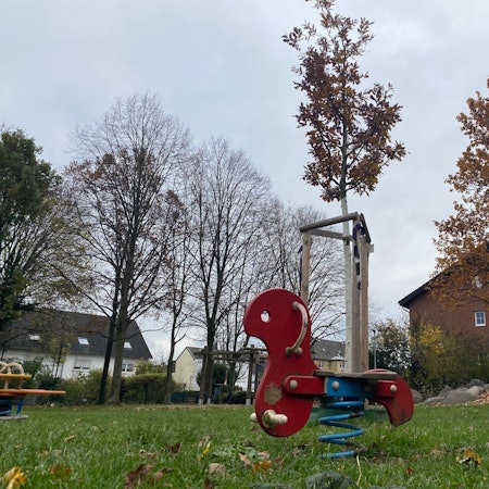 Zu sehen ist eine Wippe und dahinter ein neu gepflanzter Baum.