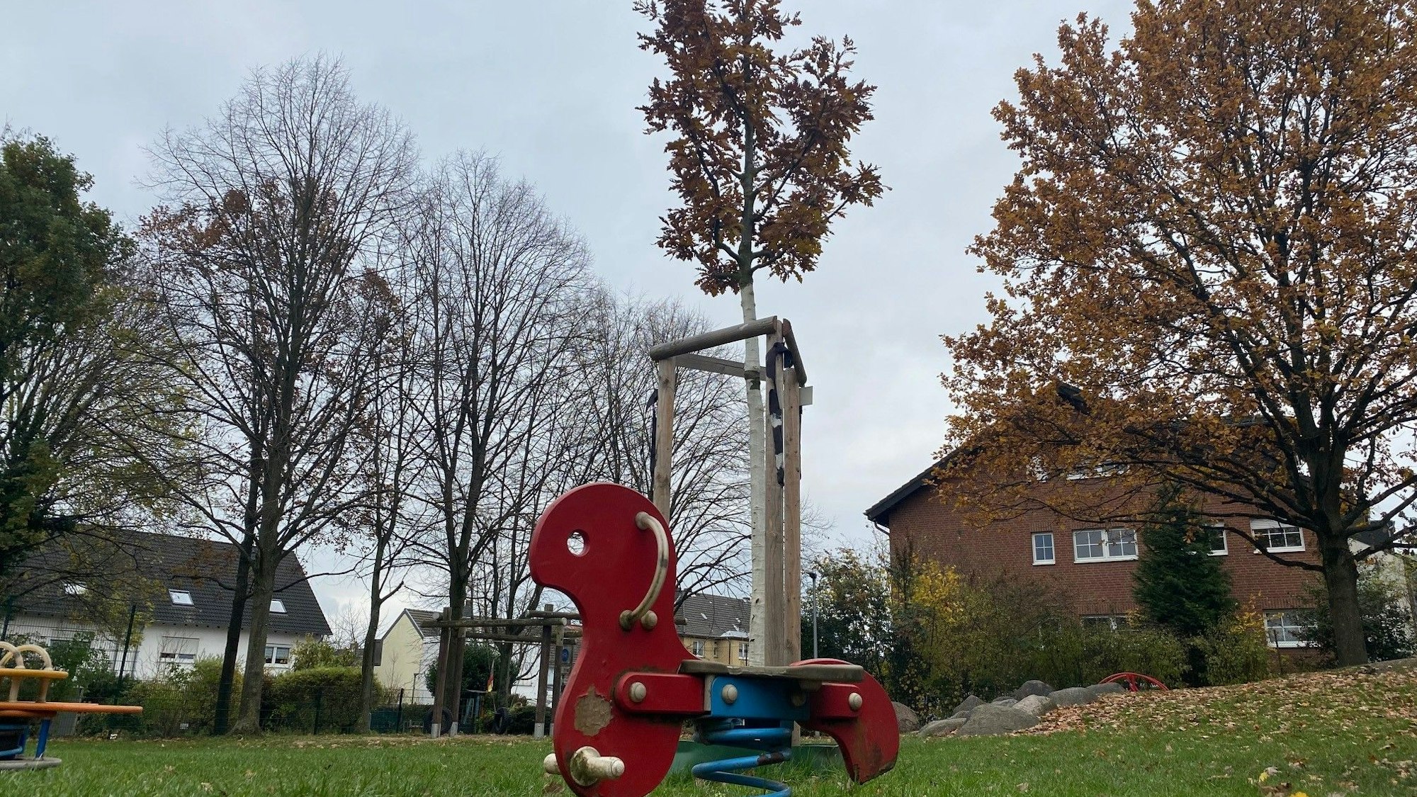 Zu sehen ist eine Wippe und dahinter ein neu gepflanzter Baum.