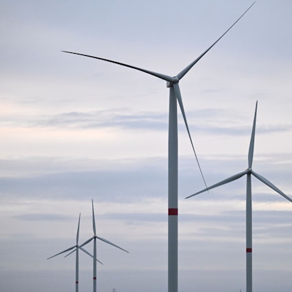 Das Foto zeigt Windräder