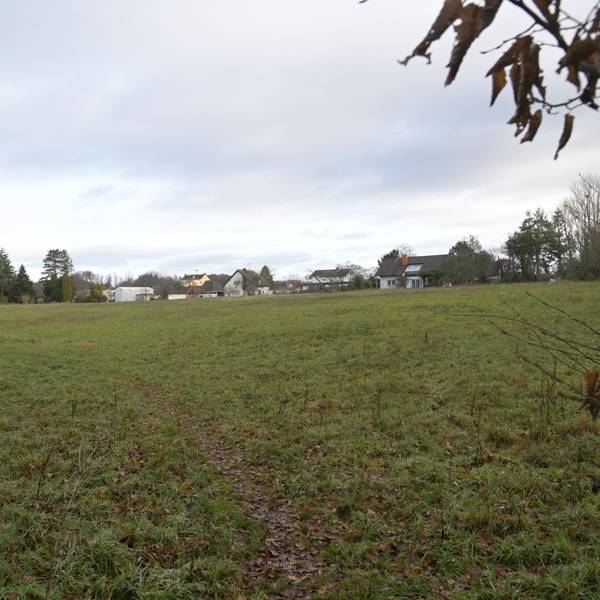 Forsbach Wiese zwischen Am Kurtenwald und Altvolberger Hof