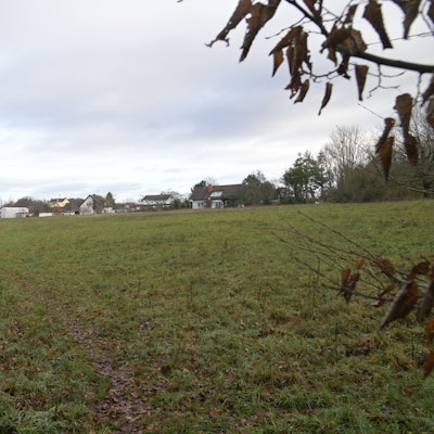 Forsbach Wiese zwischen Am Kurtenwald und Altvolberger Hof