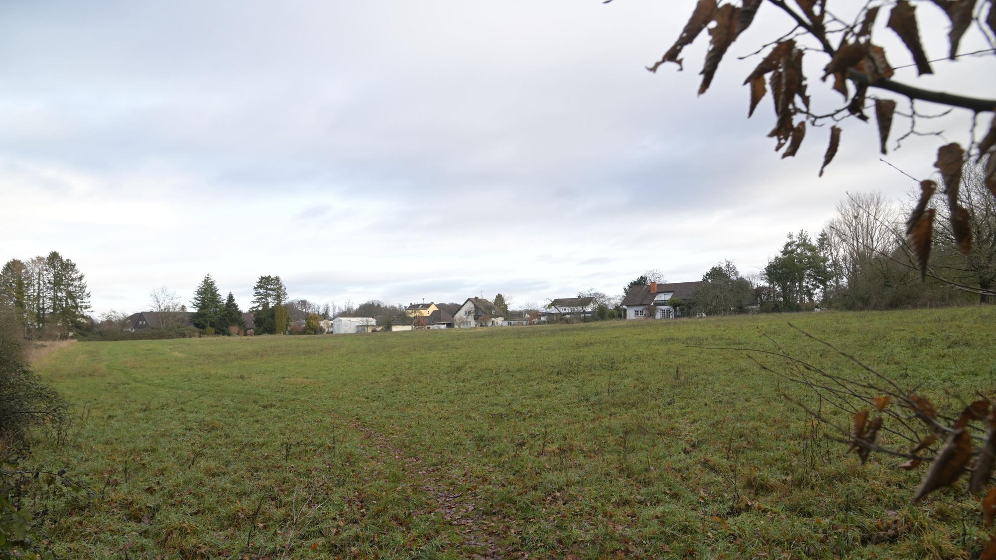 Forsbach Wiese zwischen Am Kurtenwald und Altvolberger Hof