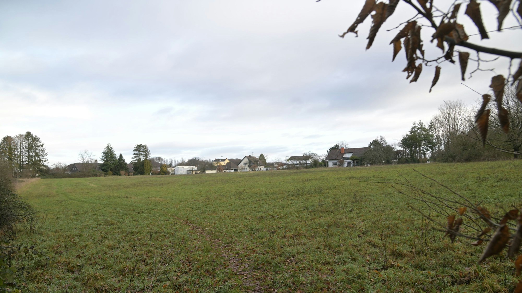 Forsbach Wiese zwischen Am Kurtenwald und Altvolberger Hof