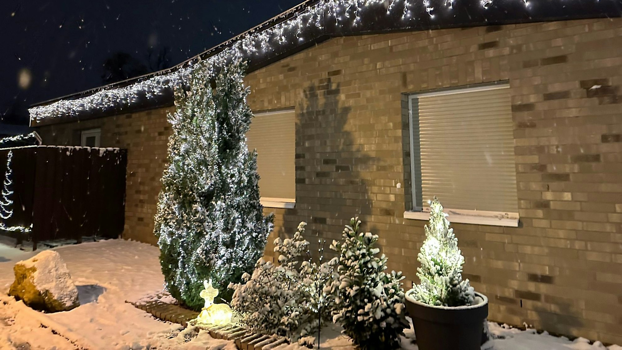 Festliche Stimmung dank Weihnachtsstern und Lichterketten.