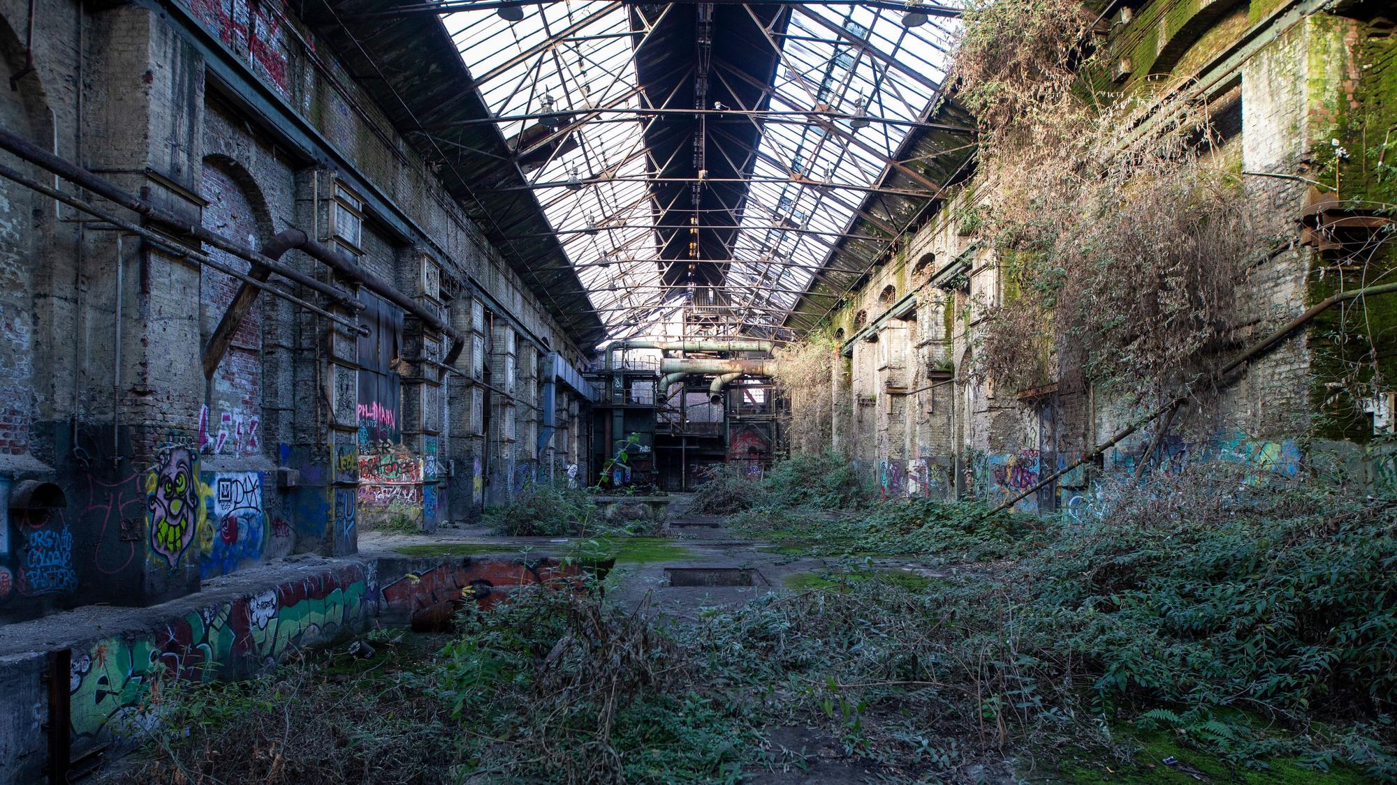 Sträucher haben sich in der alten Industriehalle breit gemacht.