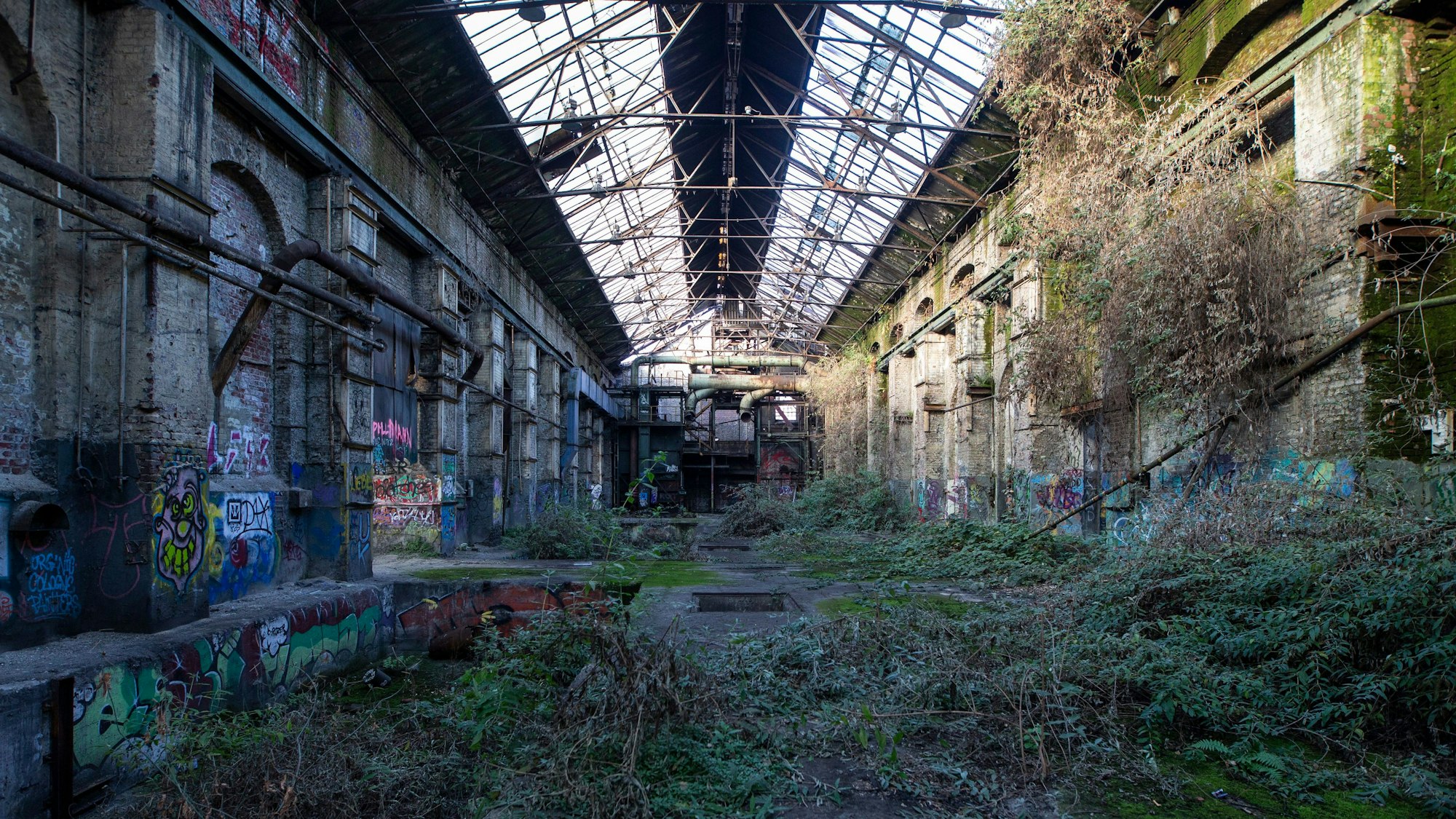 Sträucher haben sich in der alten Industriehalle breit gemacht.
